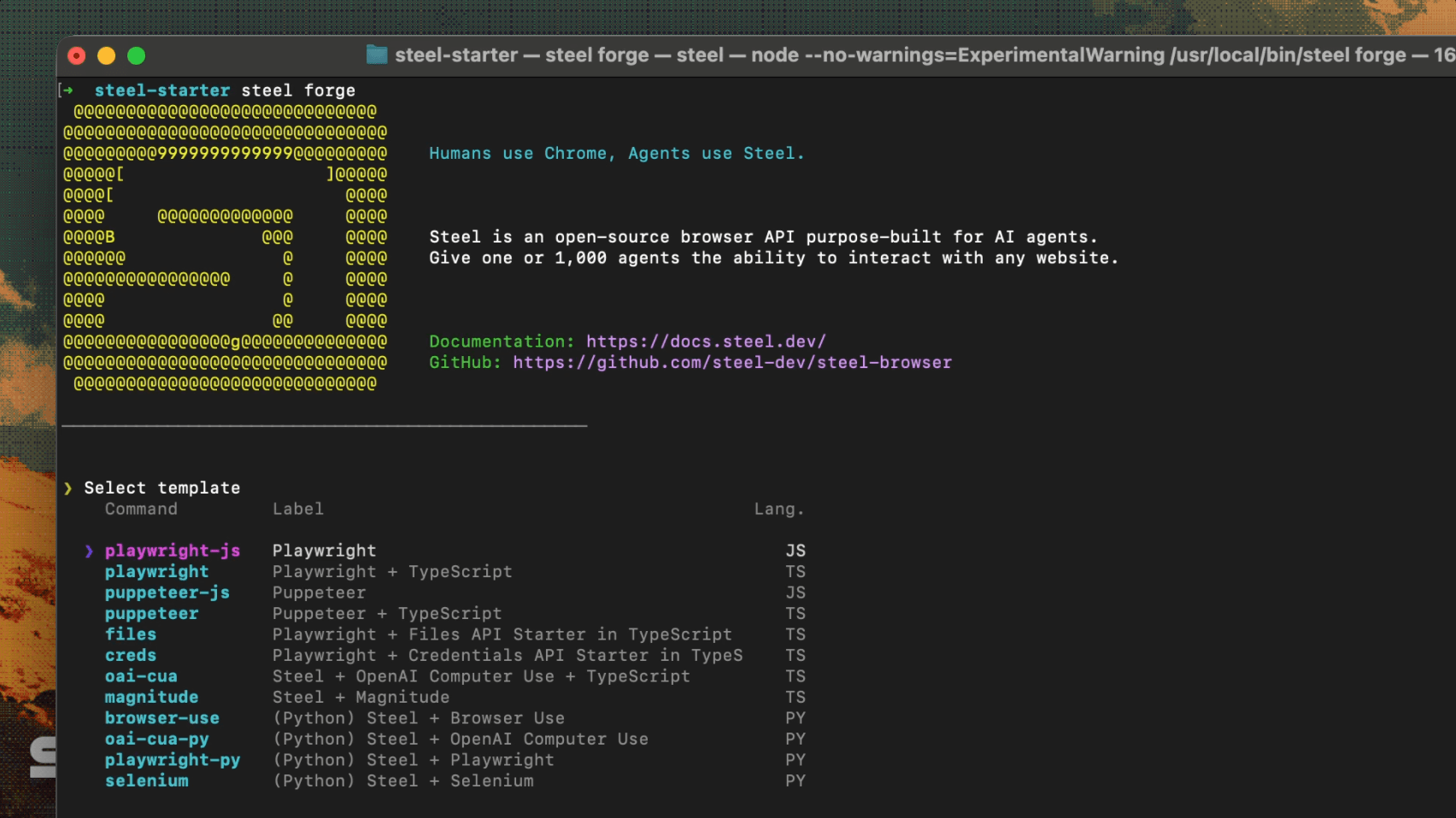 Steel CLI